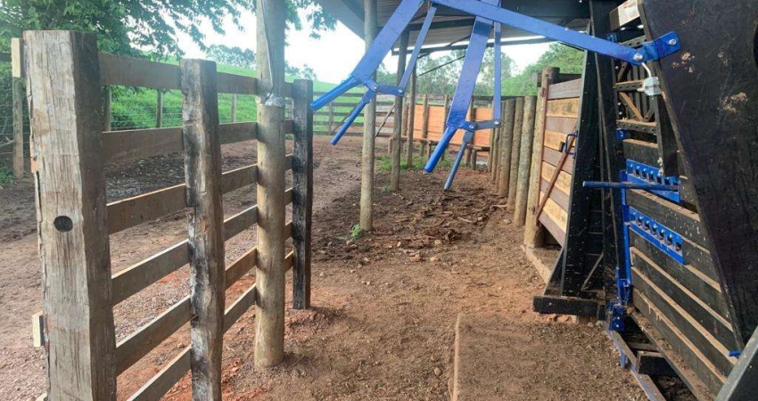 Fazenda à venda no Centro, Ibiá 