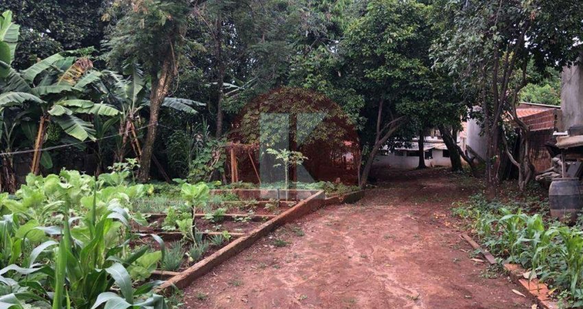Terreno à venda no Trevo, Belo Horizonte 