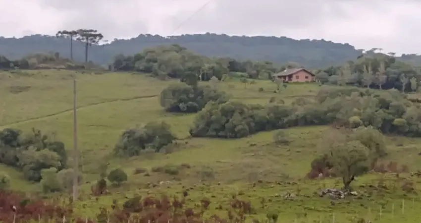 Fazenda para Venda em Caxias do Sul, Mulada, 3 dormitórios, 1 suíte, 1 banheiro, 3 vagas