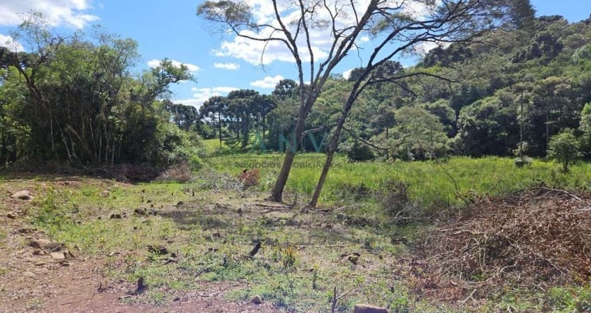 Chácara para Venda em Caxias do Sul, Vila Seca