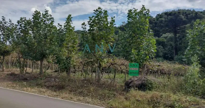 Chácara / sítio à venda em Loreto, Caxias do Sul 