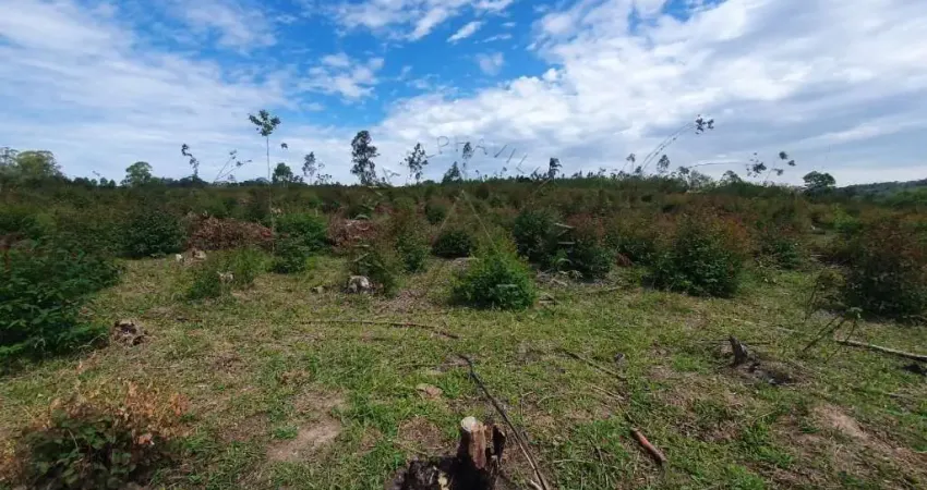 Chácara / sítio à venda na Maria Aparecida Delacosta, 400, Mato Dentro, Mairinque