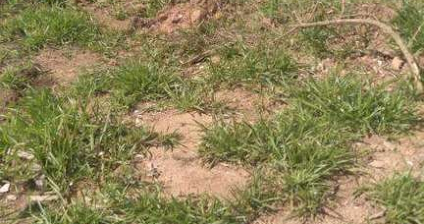 Terreno à venda no Jardim Ana Estela, Carapicuíba 