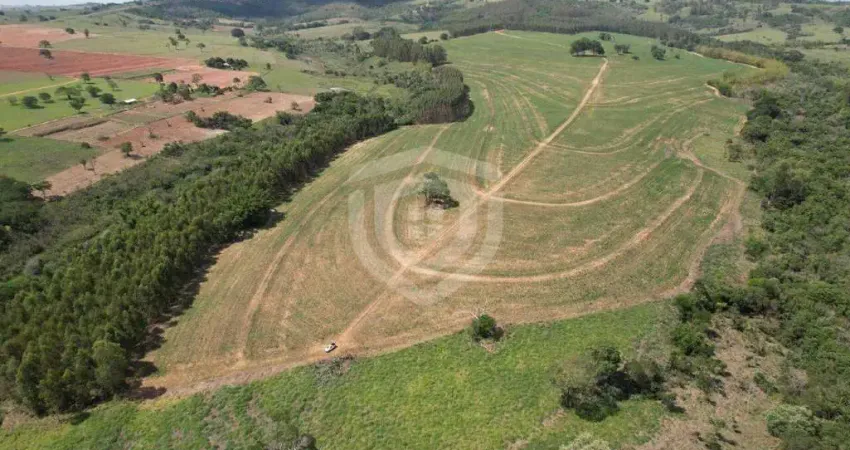 Fazenda à venda em echaporã (zona rural) pronta para seu investimento