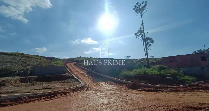 Terreno à venda na Estrada Do Tabuleiro Verde, 100, Taboleiro Verde, Cotia