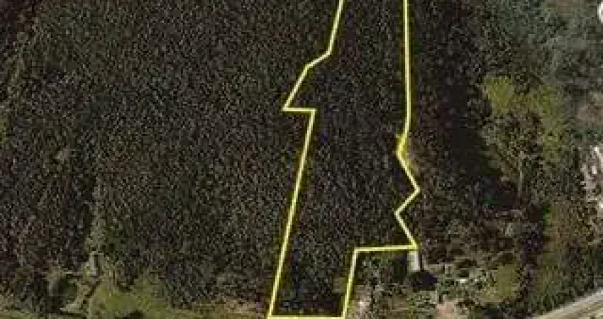 ÁREA 63.202,79 m²Às Margens da Rod. Regis Bittencourt - Km 297 + 150 m - Itapece