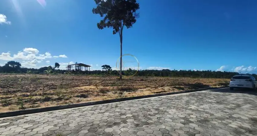 Venda e Locação de Lote em Coroa Vermelha - R$ 130.000