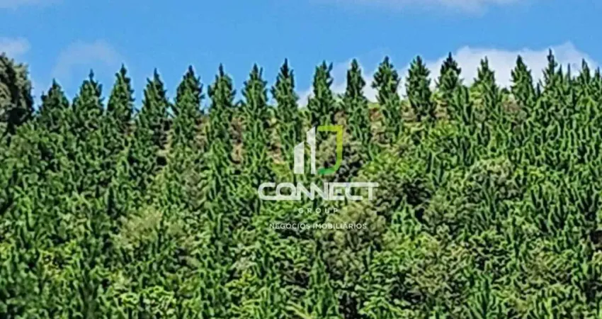 Fazenda à venda, 4477000 m² por R$ 28.000.000,00 - Zona Rural - Bocaiúva do Sul/PR