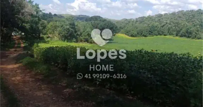 Terreno à venda na Rodovia dos Minérios, 7988, Tranqueira, Almirante Tamandaré