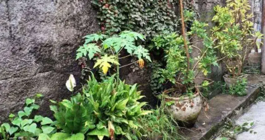 Casa com 2 dormitórios à venda, 42 m² por r$ 250.000,00 - vila granada - são paulo/sp