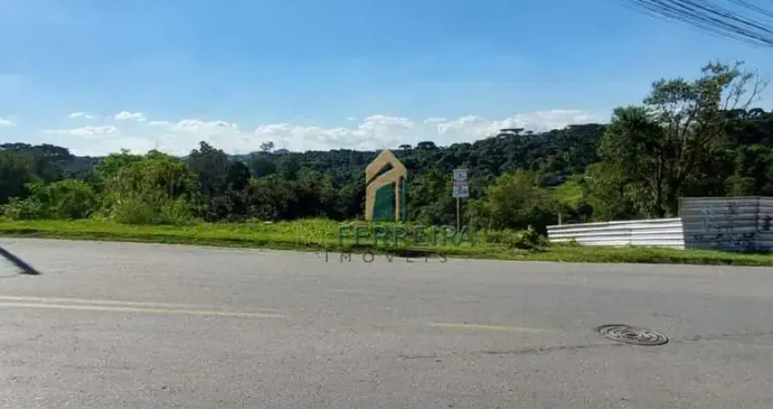Terreno à venda na Padre Tadeu Diedezic, 200, Campina do Arruda, Almirante Tamandaré