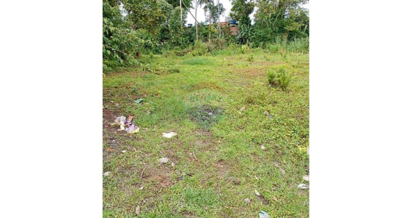 Terreno à venda em Boraceia, Bertioga 