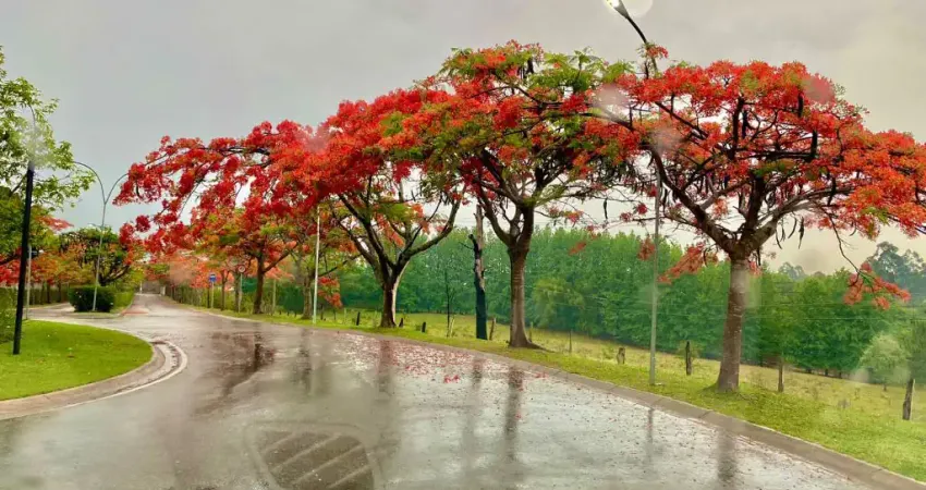 Lindo terreno praticamente plano com 1000m² no condomínio terras caxambu