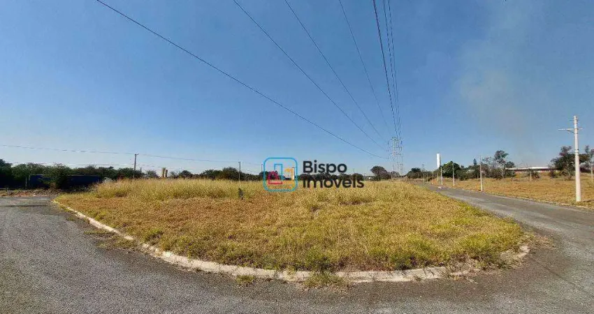 Terreno industrial à venda, 10.853 m² - antônio zanaga - americana/sp