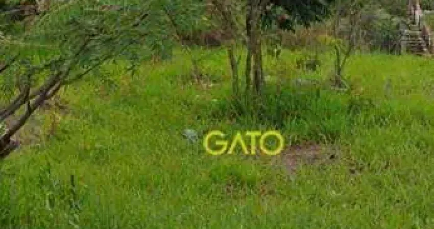 Terreno em Cajamar, Terreno no Polvilho em Cajamar/SP