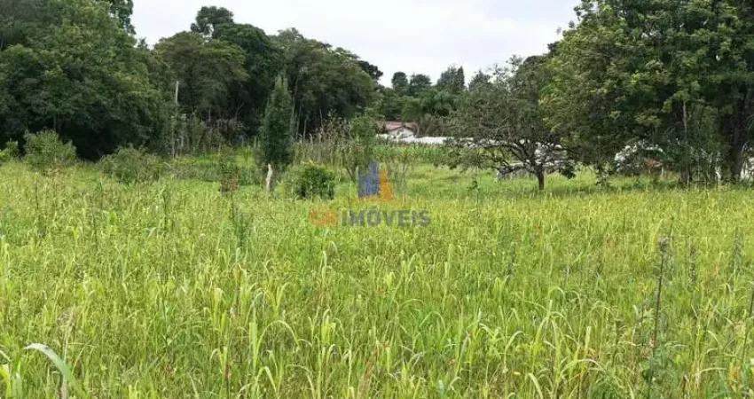 Chácara / sítio à venda na Rua Domingos Maoski, 712, Contenda, São José dos Pinhais