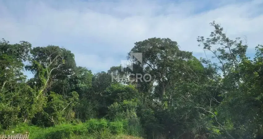 Terreno à venda no Quinta dos Açorianos, Barra Velha 