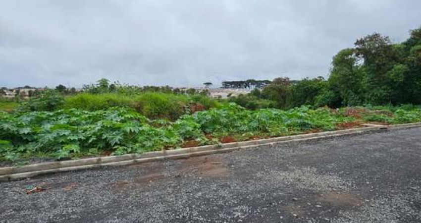 Lote 06 - Rua Massaranduba