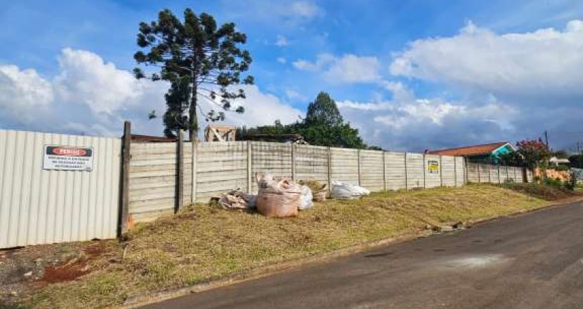 TERRENO COM 924MTRS NO PARQUE SANTA LUCIA  NO JRD. CARVALHO
