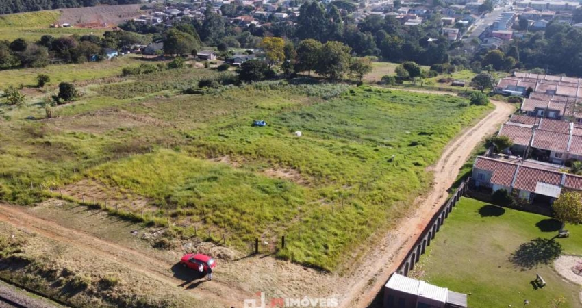 ÁREA ÓRFÂS - 4.484m²