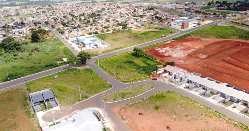 Terreno Comercial no Bairro Novo - Neves