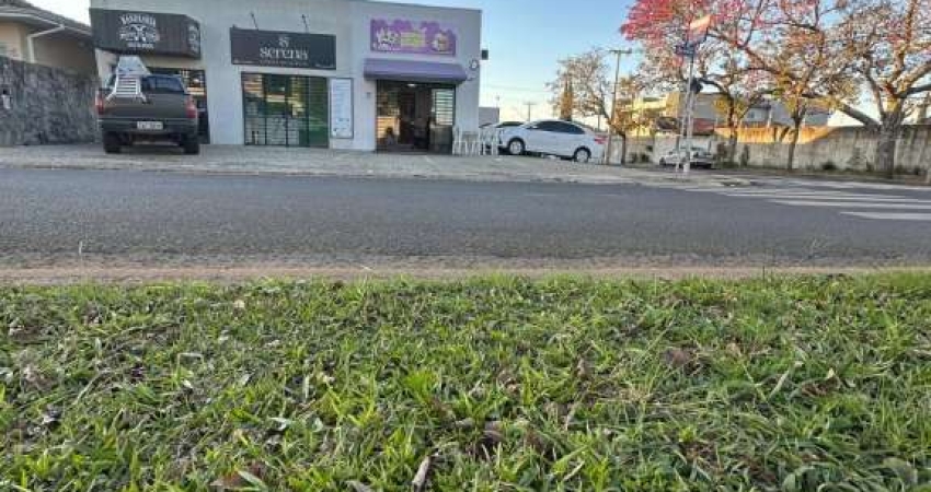 Casa em condomínio fechado para alugar na Rua Aldo Vergani, se, Oficinas, Ponta Grossa