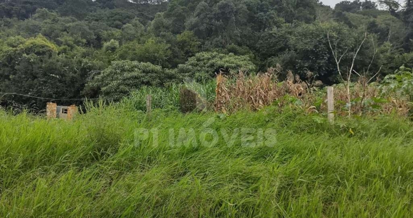 Terreno à venda no Jardim Carvalho, Ponta Grossa 