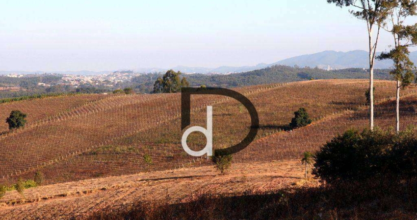 Sítio com 24 dormitórios à venda, 484540 m² por R$ 12.500.000,00 - Champirra - Jundiaí/SP