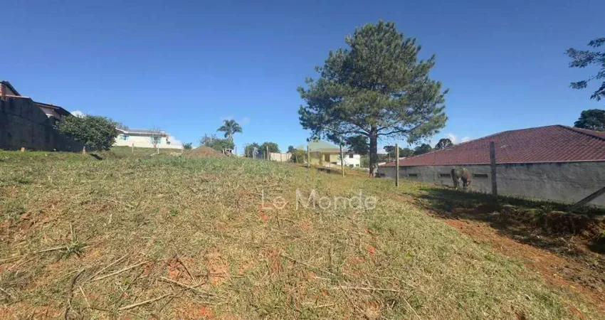 Terreno à venda, 390 m² por R$ 250.000,00 - Centro - Contenda/PR
