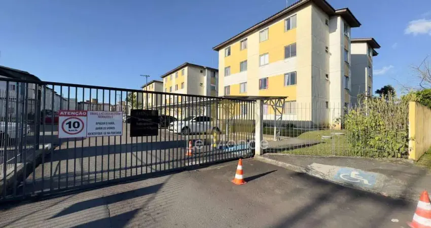 Apartamento com 2 dormitórios à venda, 47 m² por R$ 195.000 - Afonso Pena - São José dos Pinhais/PR