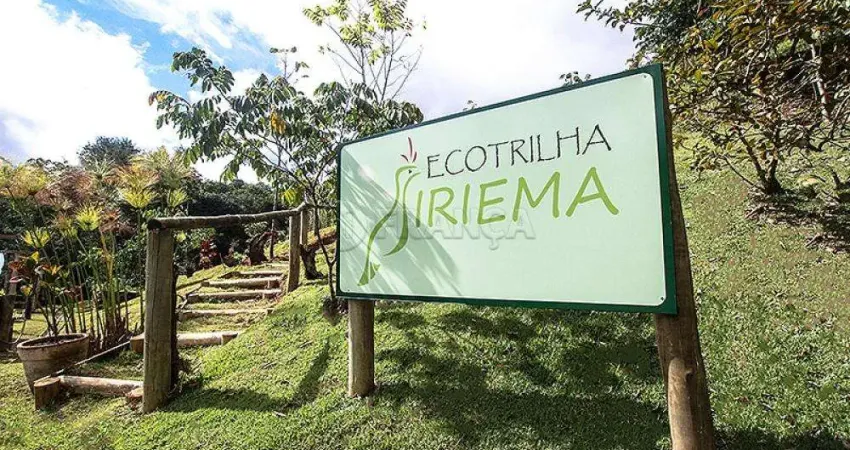 Sitio Comercial auto sustentável |Sítio Arte da Terra - São Francisco Xavier