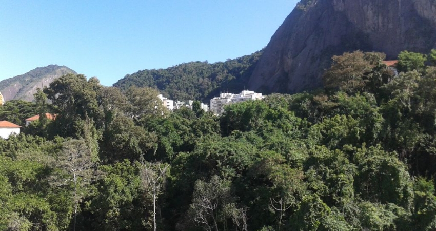Maravilhosa Oportunidade Morar/Investir (55M² no Iptu) Linda Vista Floresta, Play, Bicicletário, Bosque, Garagem Alugar (Paz e Segurança)