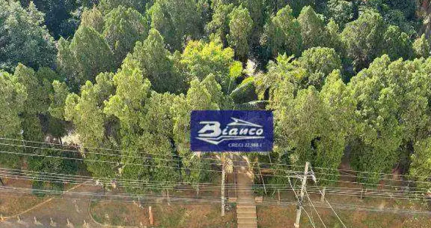 Apartamento com 3 dormitórios à venda, 70 m² por r$ 380.000,00 - gopoúva - guarulhos/sp