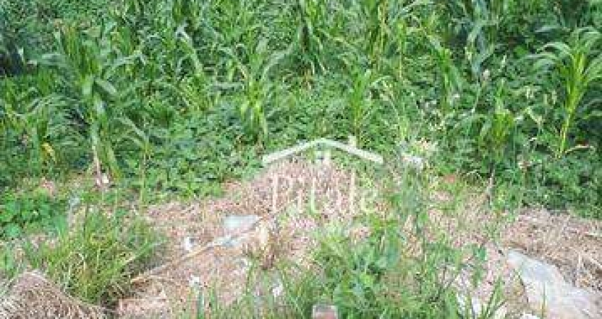 Terreno à venda, 150 m² por R$ 60.000 - Jardim Japão (Caucaia do Alto) - Cotia/SP
