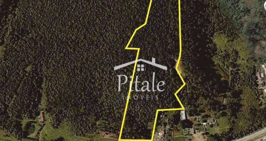 Terreno à venda, 63202 m² por R$ 8.220.000,00 - Jardim Itapecerica - Itapecerica da Serra/SP