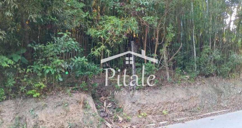 Terreno à venda, 19658 m² por R$ 5.300.000,00 - Chácaras Embu Colonial - Embu das Artes/SP