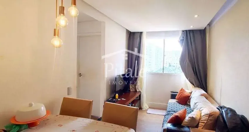 Apartamento com 2 dormitórios à venda, 41 m² por r$ 199.990,00 - jardim boa vista (zona oeste) - sã