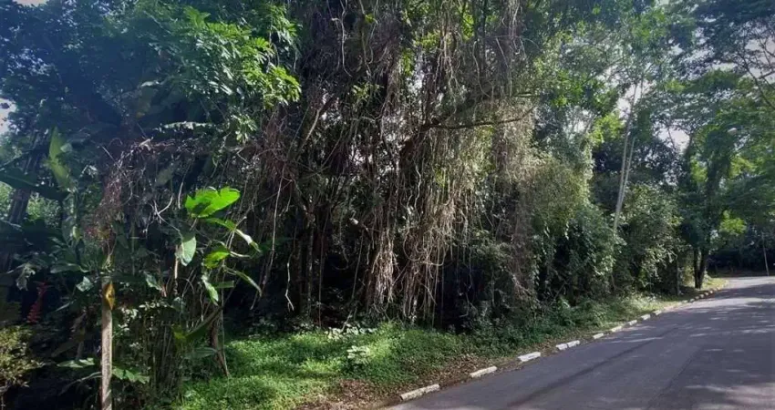 Terreno à venda na Rua Jambo, Algarve, Cotia