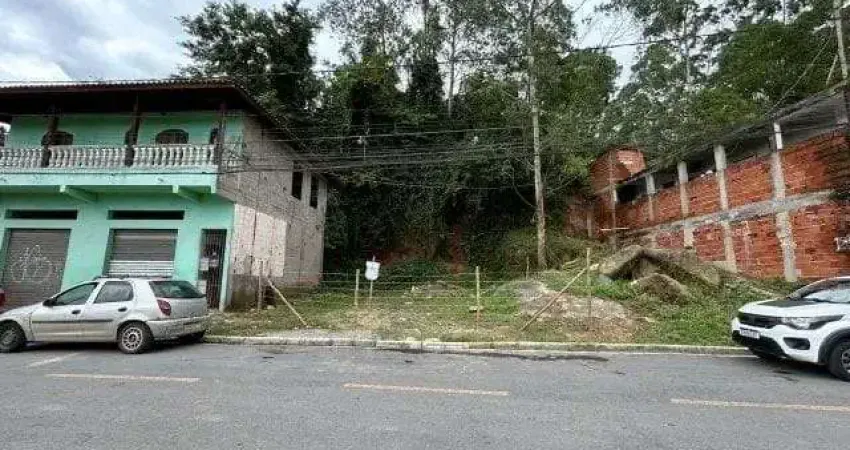 Terreno à venda, 250 m² por r$ 160.000,00 - vila são roque (caucaia do alto) - cotia/sp