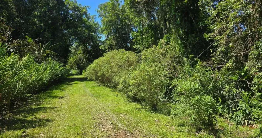 Chácara à venda em Paraty-RJ, no Rio dos Meros, com 5.000m² de área: uma oportunidade única!