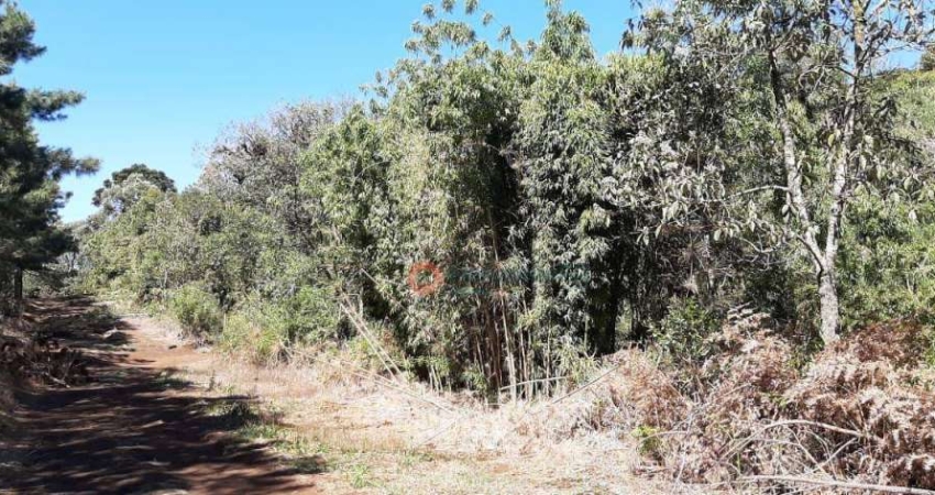 Fazenda à venda no Guará, Guarapuava 