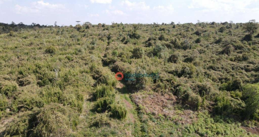 Chácara / sítio com 2 quartos à venda na Zona Rural, Pinhão 