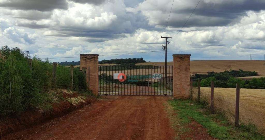 Terreno à venda, 2364 m² por R$ 240.000 - Aeroporto - Guarapuava/PR