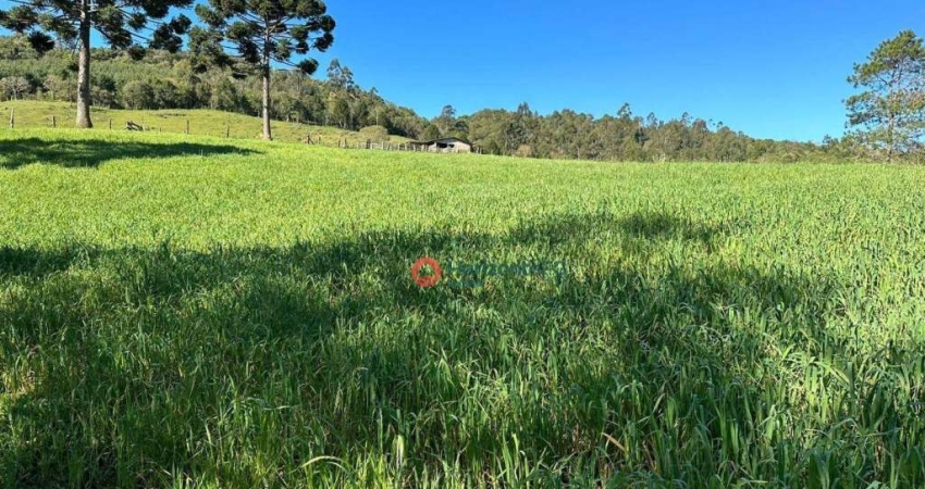 Chácara / sítio com 3 quartos à venda na Área Rural de Guarapuava, Guarapuava 