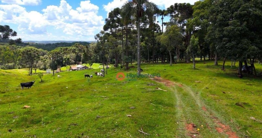 Chácara à venda, 18 alqueires por R$ 1.500.000,00 - Zona Rural - Guarapuava/PR