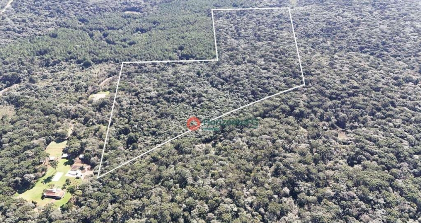 Área à venda, 13.28 Alqueire por R$ 850.000 - Palmeirinha - Guarapuava/PR