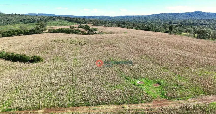 Fazenda à venda na Área Rural de Guarapuava, Guarapuava 