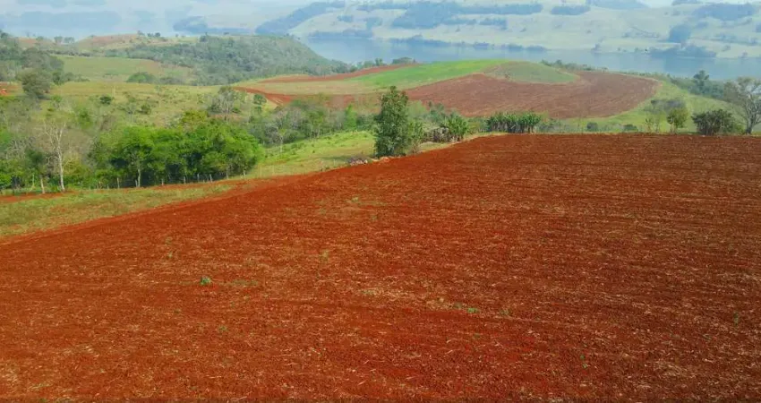 Chácara / sítio à venda no Alagado, Candói