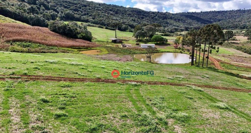 Fazenda com à venda, 103,71 Hectares por R$ 5.275.000 - Zona Rural - Guarapuava/PR