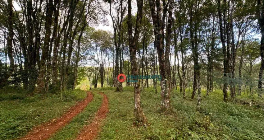 Fazenda à venda no Palmeirinha, Guarapuava 